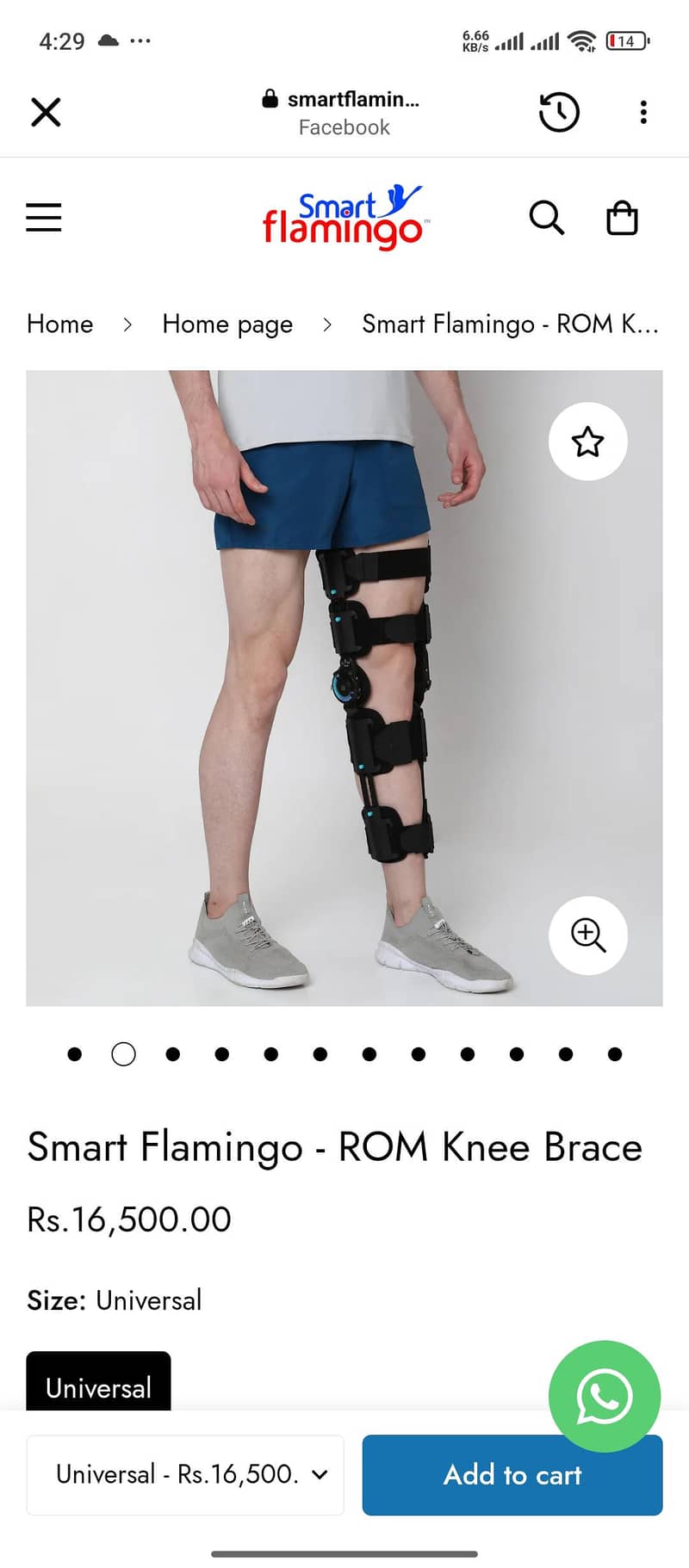 knee brace 1