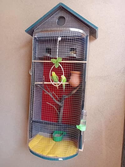 bird Cage