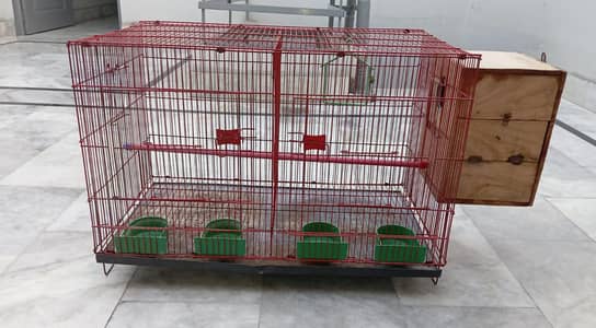 parrot Cage
