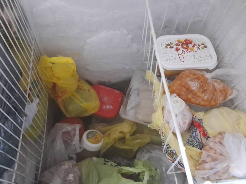 freezer 1