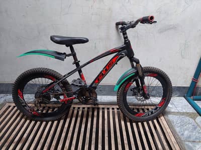 Plus  Bicycle Size 20" Working Condition