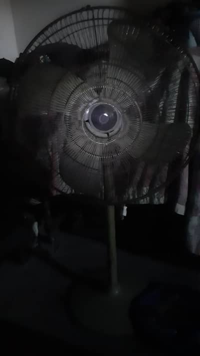 Pedestal Fan
