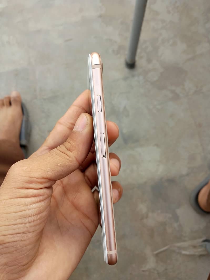 iphone 5