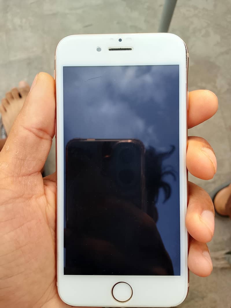 iphone 6