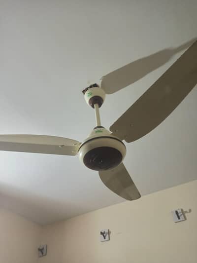 Tamoor ac dc fan 56 inch