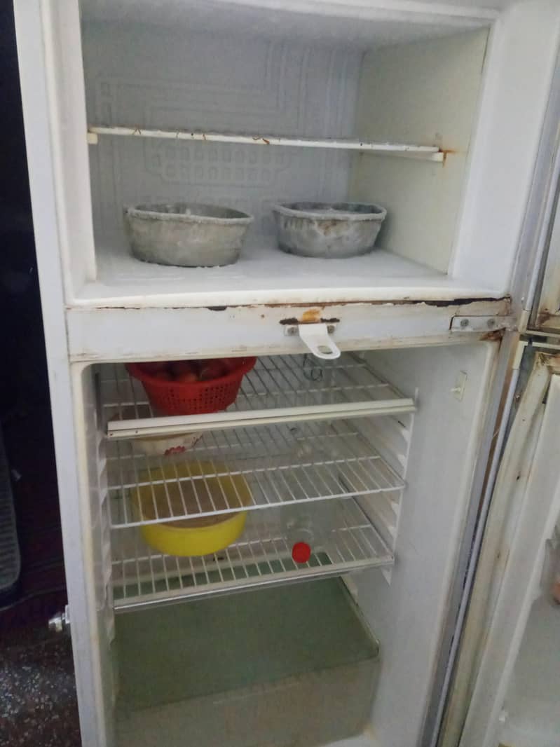 Refregerator Waves 2