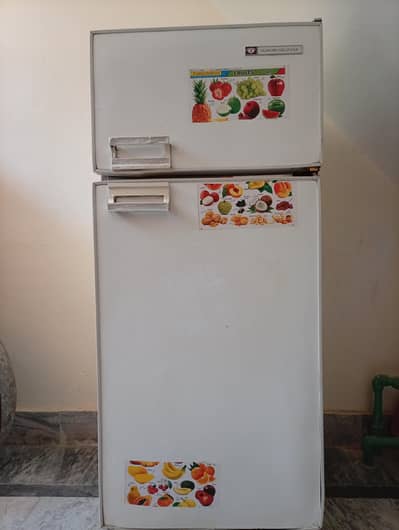 Fridge Refrigerator Made in Italy