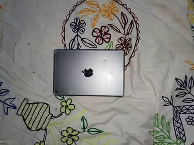 IPad mini 5