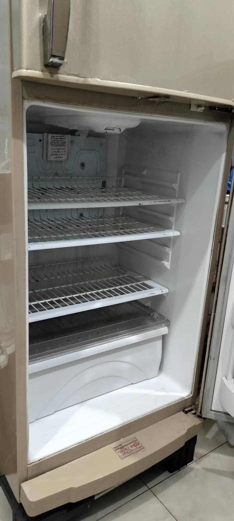 waves  fridge 1