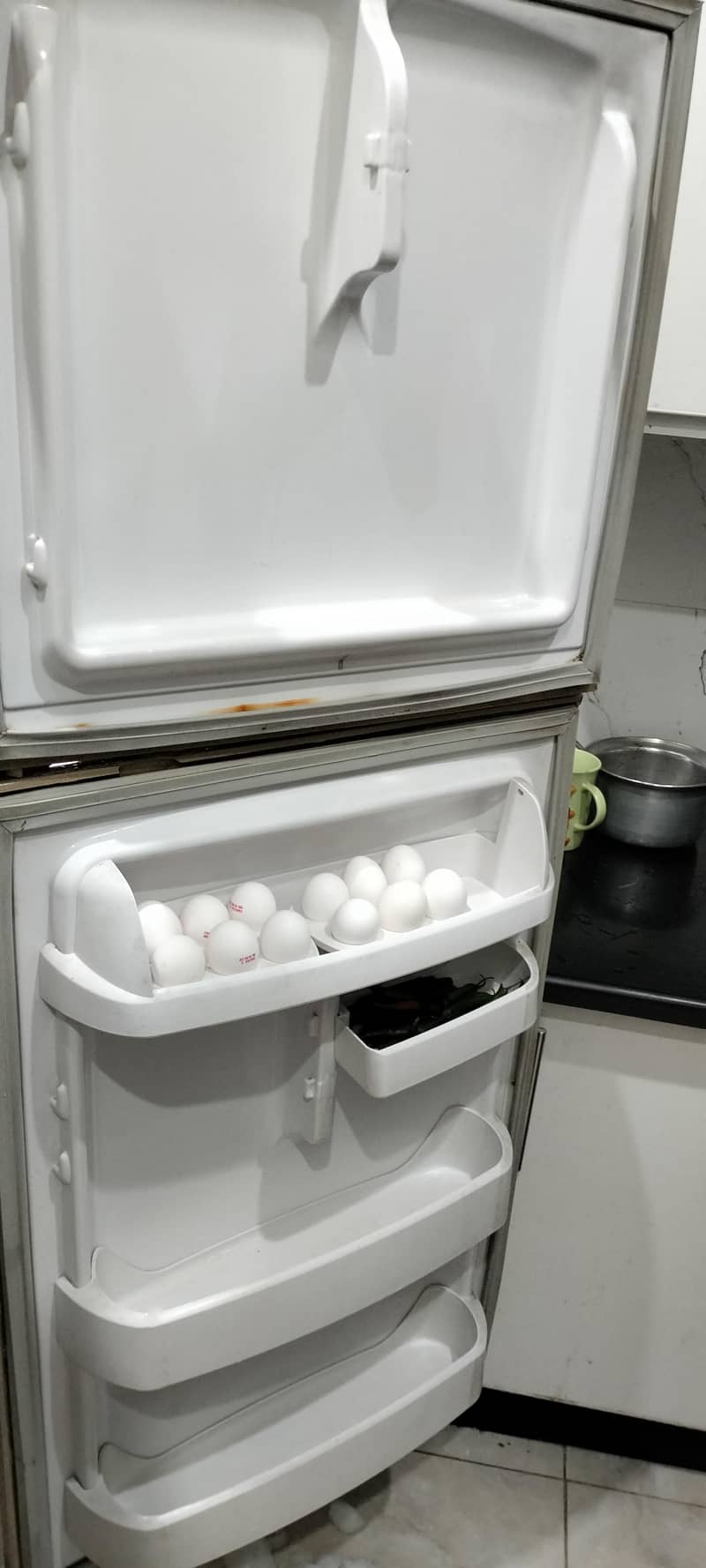 waves  fridge 3