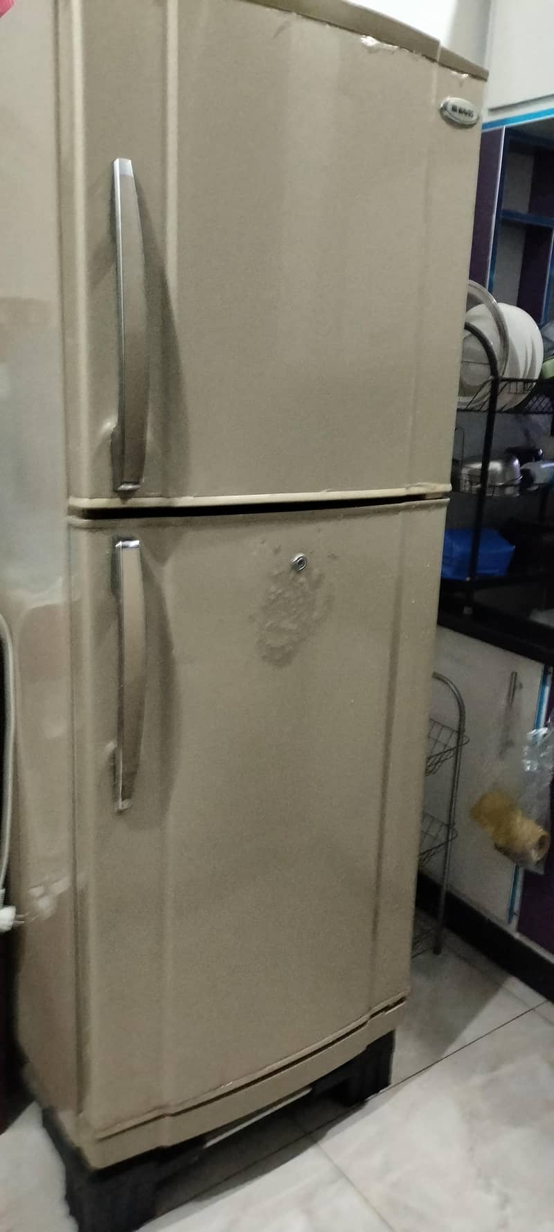 waves  fridge 5