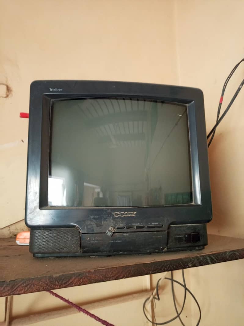Television 1