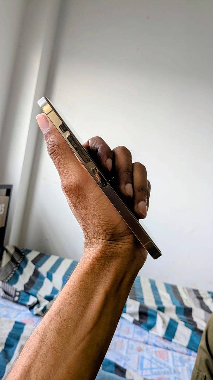 iphone 13 pro max 1