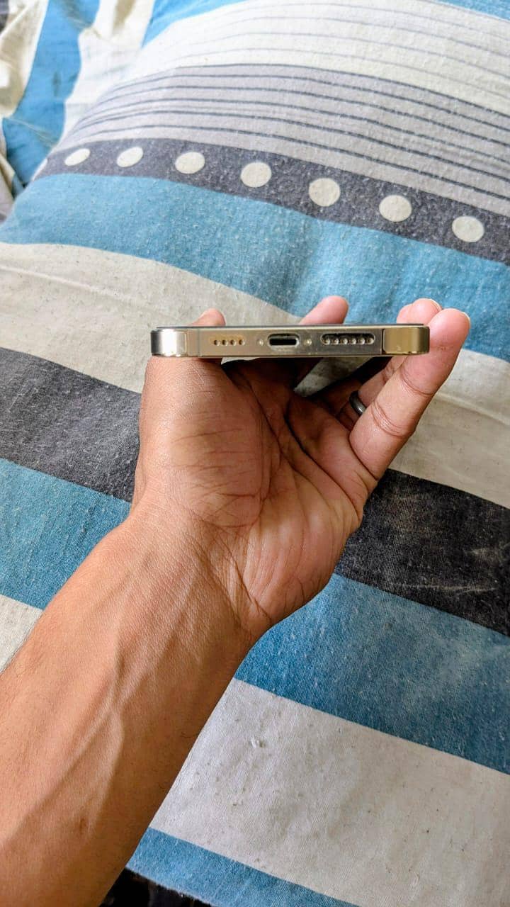 iphone 13 pro max 2