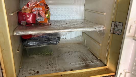 Large size fridge