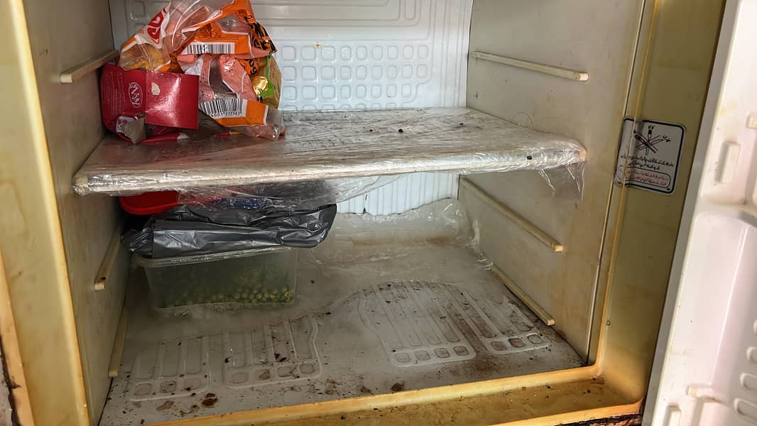Large size fridge 0