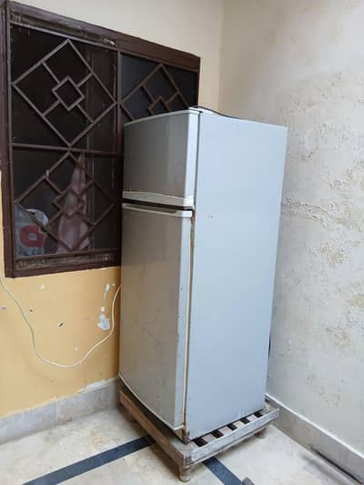 haier refregreter