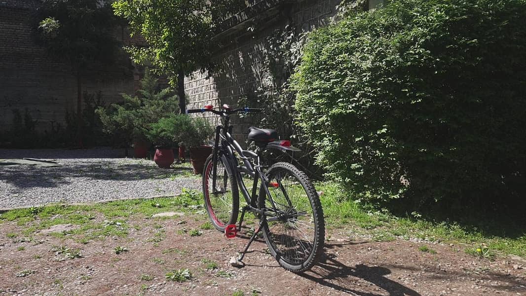 Racing Cycle 1
