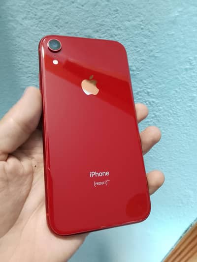 iPhone Xr Pta Approved 64gb