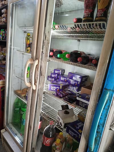 carrival double door glass chiller
