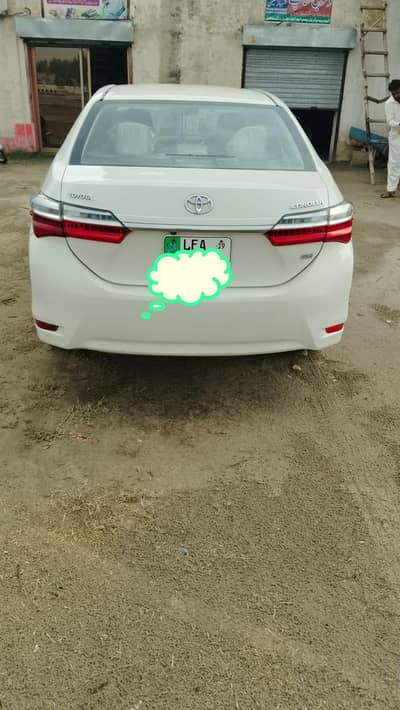 Corolla gli