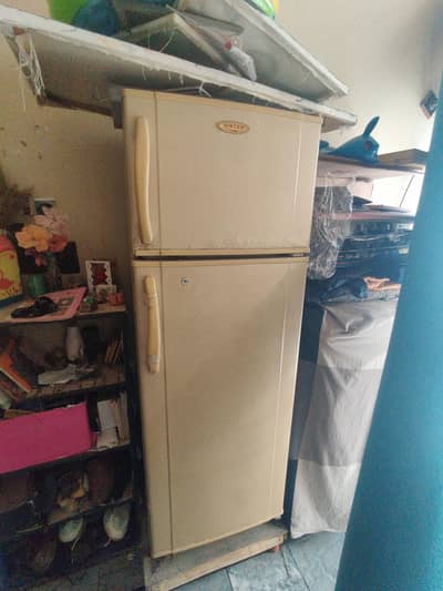 Singer fridge