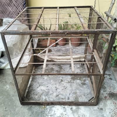 Hen Cage