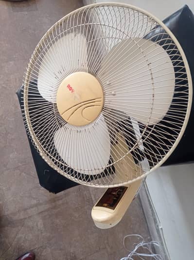 Royal Bracket fan