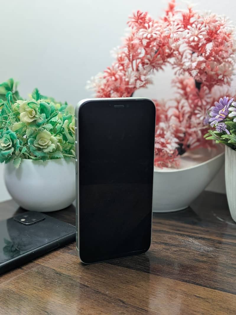 iPhone 12 Mini 4