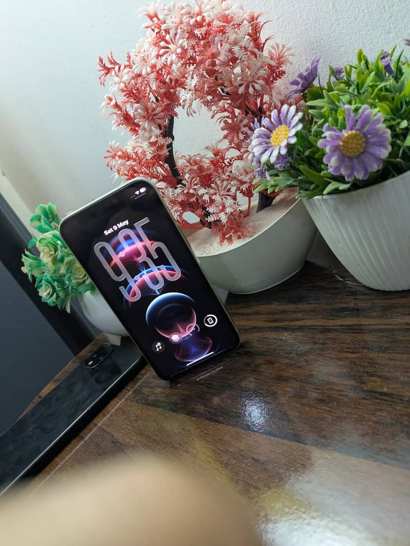 iPhone 12 Mini 5