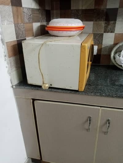 waves microwave oven