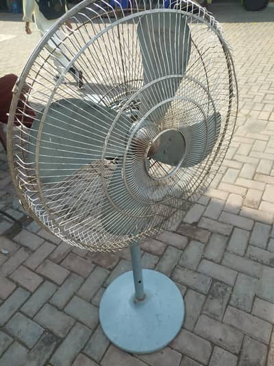 royal padestar fan