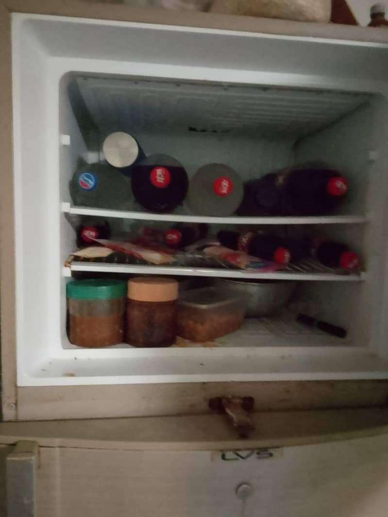 فریج ڈولینس۔ 1