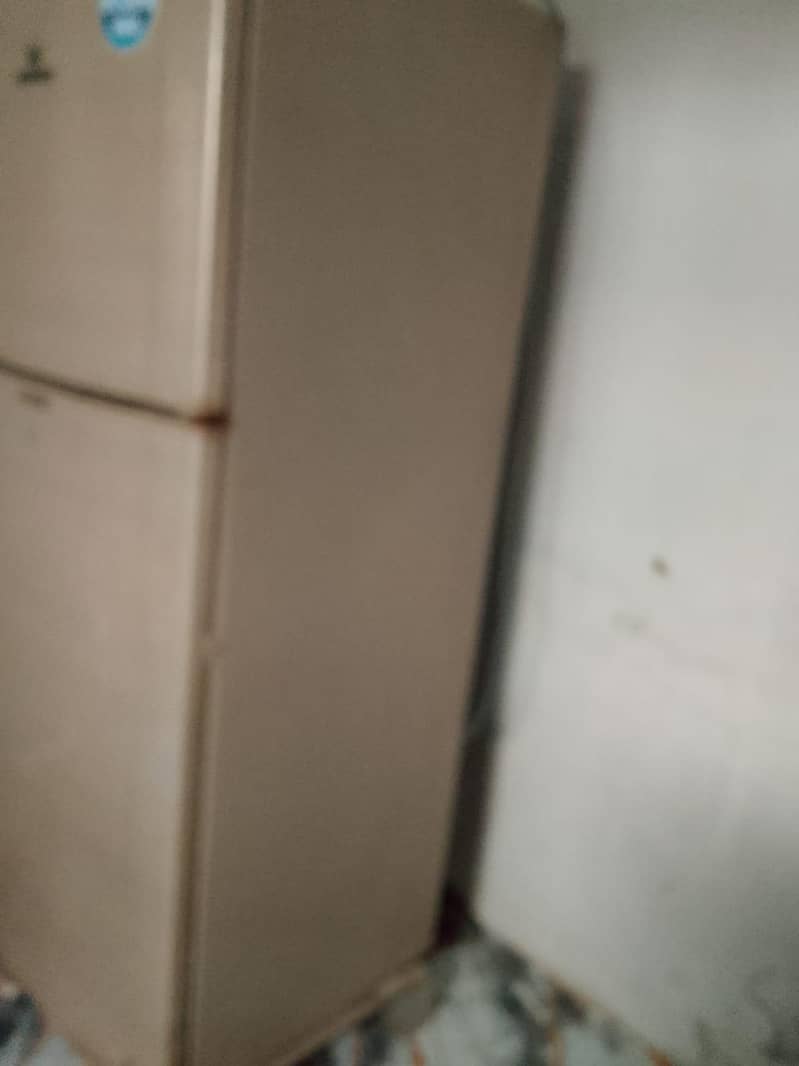 فریج ڈولینس۔ 6