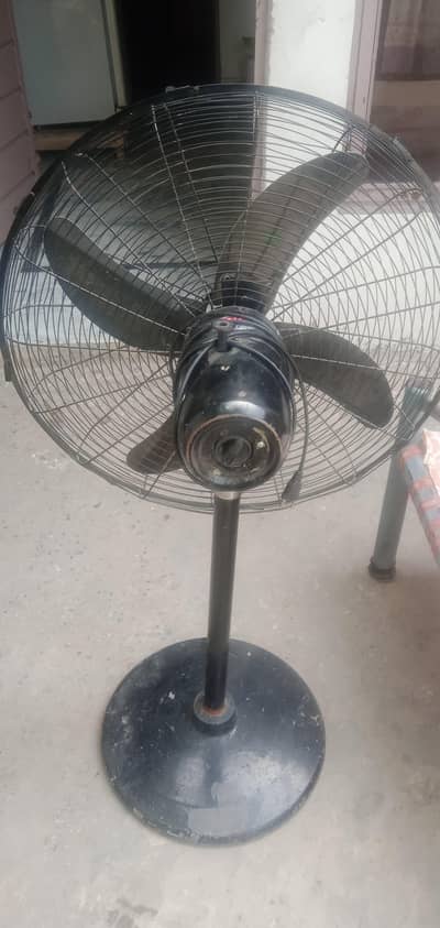 electric fan