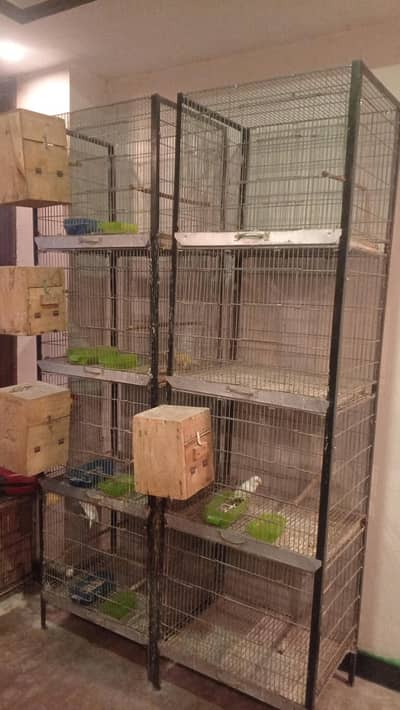 i am selling few pairs of birds and cages with all asasiries