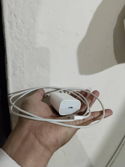 Apple Original 20W adapter with C to lighting Cable