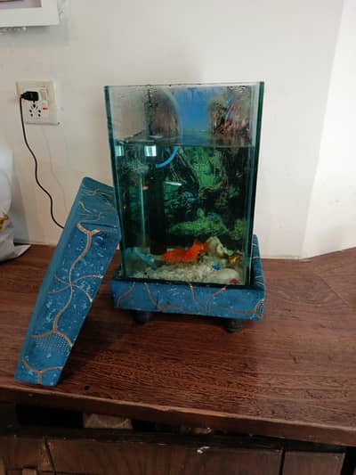 Fish Aquarium with filter and fishes