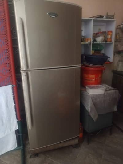 PEL fridge