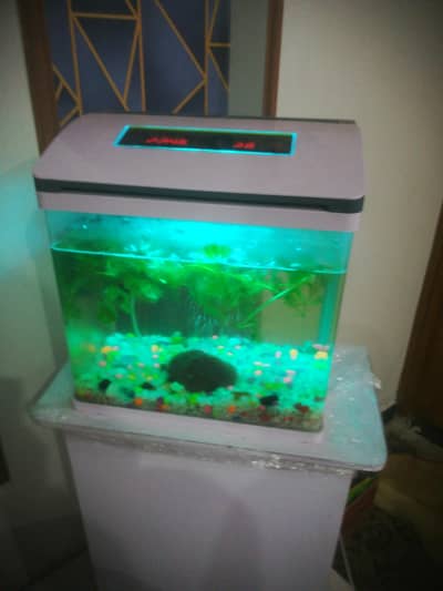 imported aquarium
