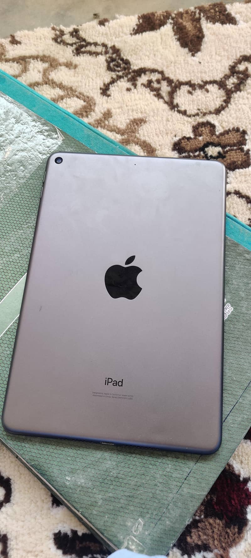 ipad mini 5 6