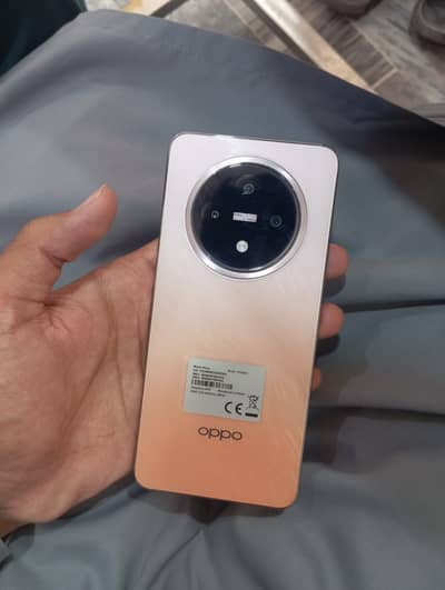 12+4 ram 256GB Memory