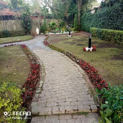 3 Bedroom Furnished House Available In F6/3 For Rent