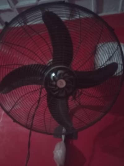 brand champion fan full size 24 "