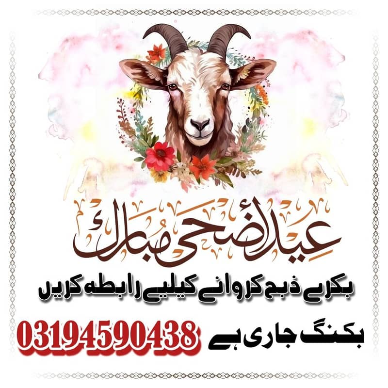 بکرے ذبح کروانے کیلیے رابطہ کریں 0