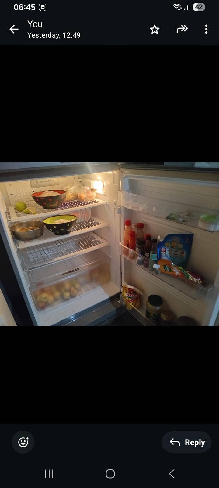 PEL Fridge 1
