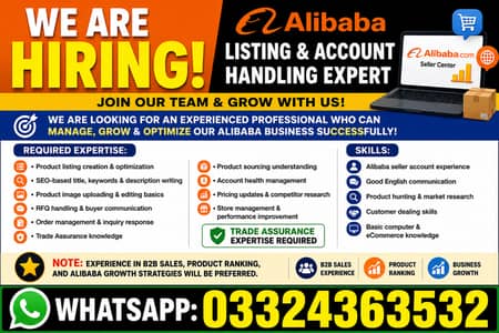 Alibaba Account Handler Needed