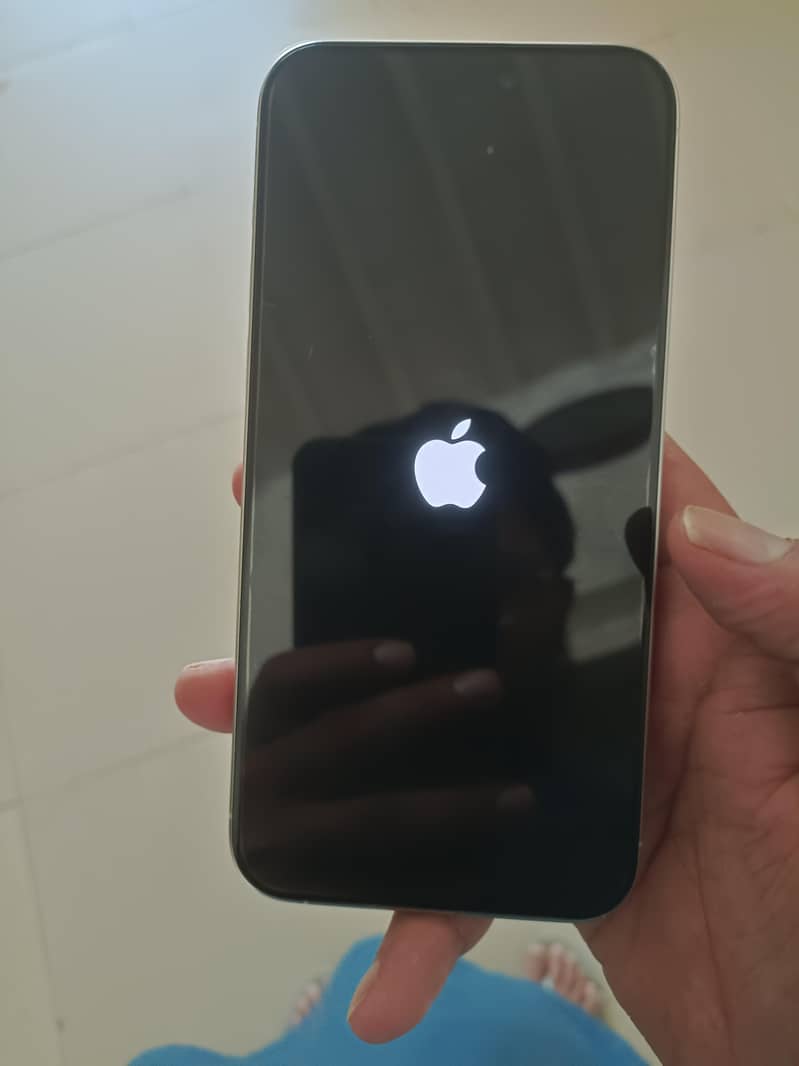 iphone 15 pro max 13