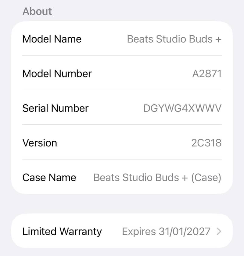 Beats Studio Buds + 1