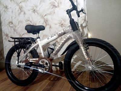 imported cycle fatt tires | cycle | bicycle